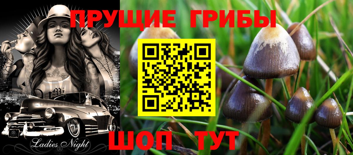 Грязи  Галлюциногенные грибы Cubensis  Вход с VPN  Псилоцибиновые грибы Psilocybine cubensis 