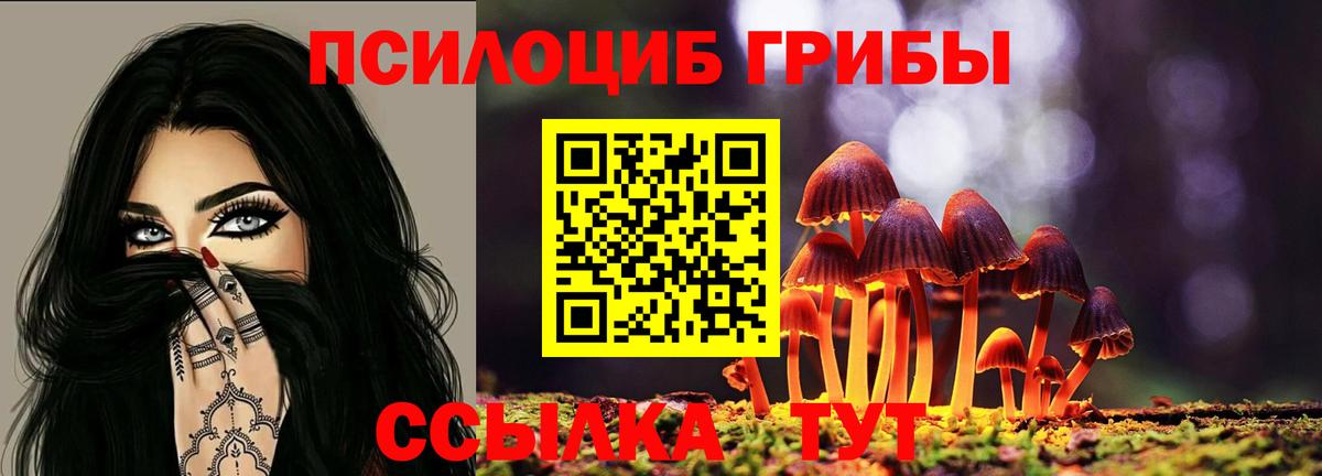 Псилоцибиновые грибы Cubensis Грязи